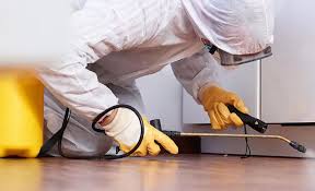 Best Pest Prevention Services  in Lake Mohegan, NY